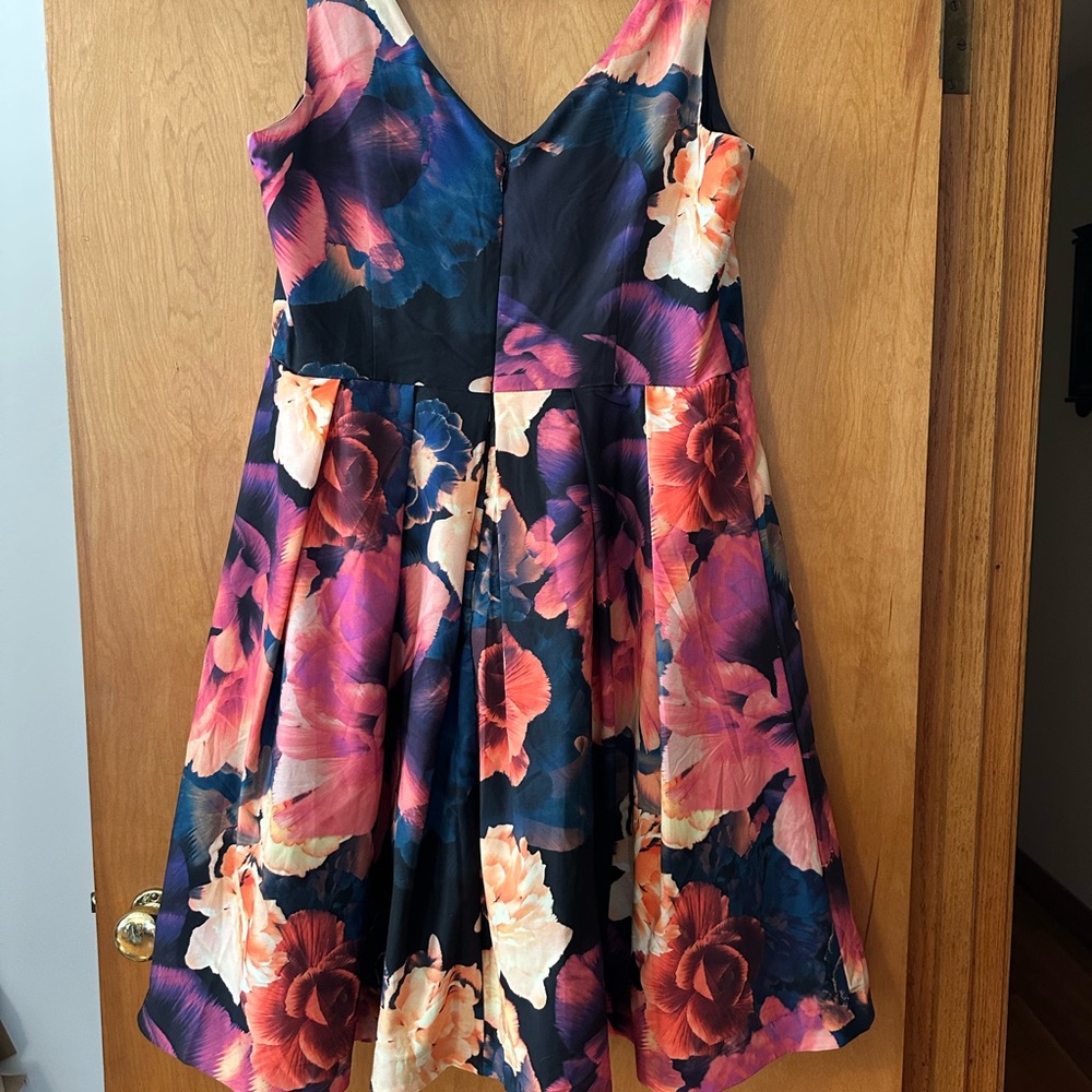 City Chic Sleeveless Floral Fit-and-Flare Mini Dress in Black and Rose - Picture 6 of 6